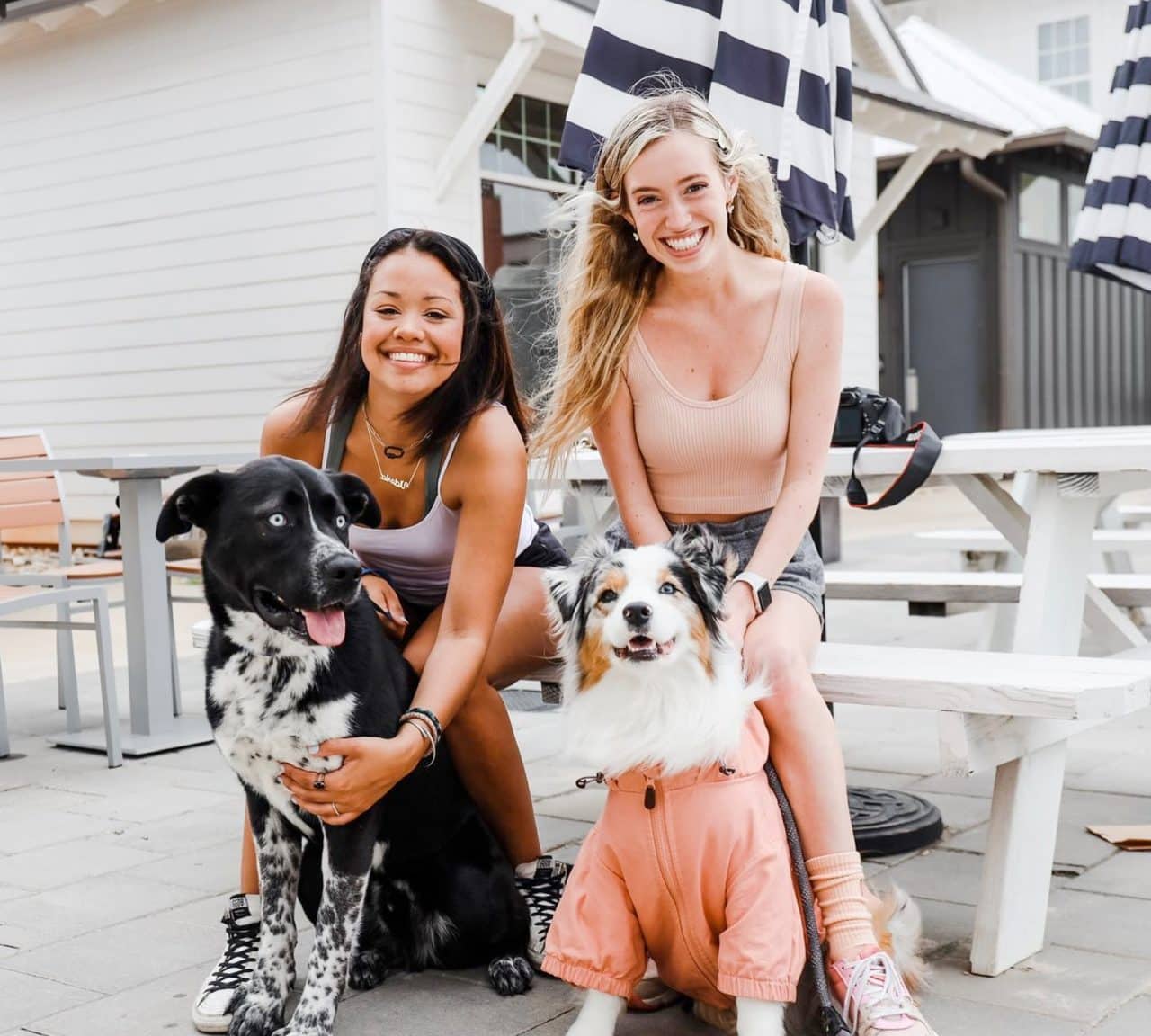 midtown auburn apartments near auburn university outdoor patio pet friendly